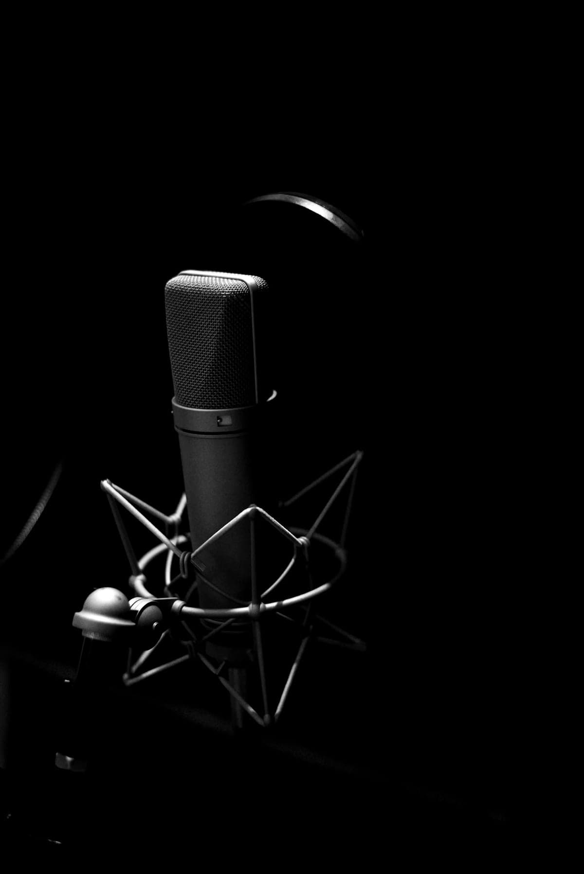 A studio condenser microphone in a shock mount, side-lit against black.